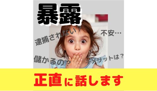 【暴露】不安…逮捕されない？儲かる？デメリットは？全部正直に話します